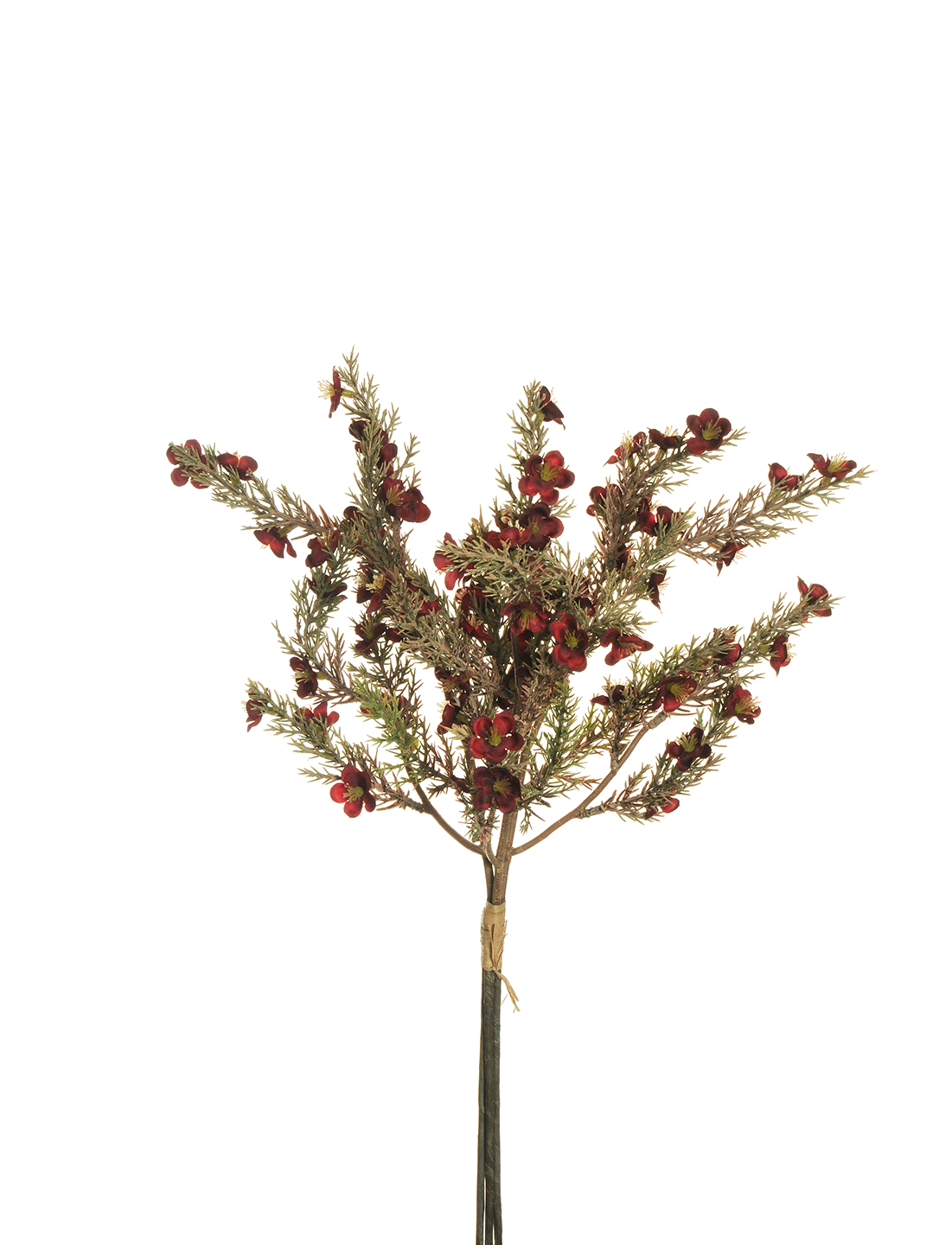 ERICA ARBOREA BUNDLE X3 46CM. BORDO