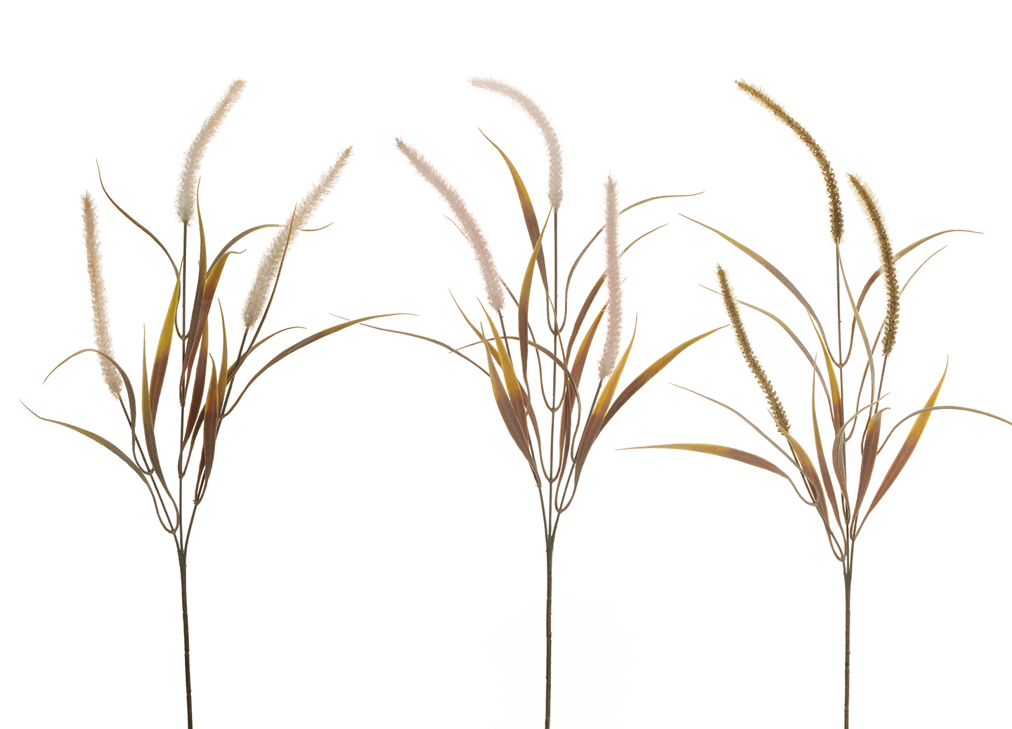 SETARIA SPRAY X3 83CM. 3PZ.COL.ASS.