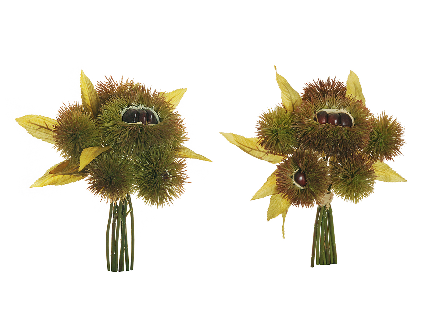 RICCIO DI CASTAGNA X7 BUNDLE 24,5CM. VERDE