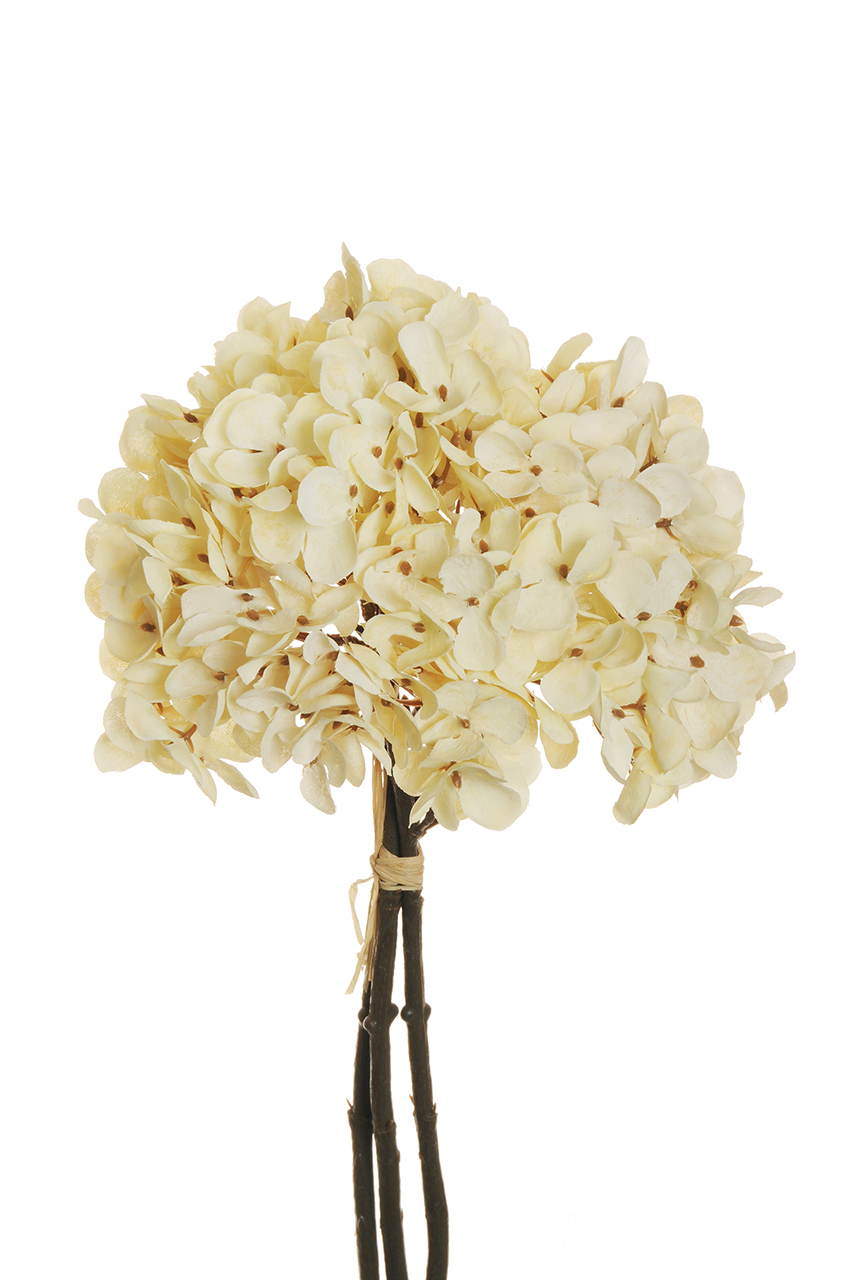 HYDRANG.ARBORES. BUNDLEX3 32CM. CREAM