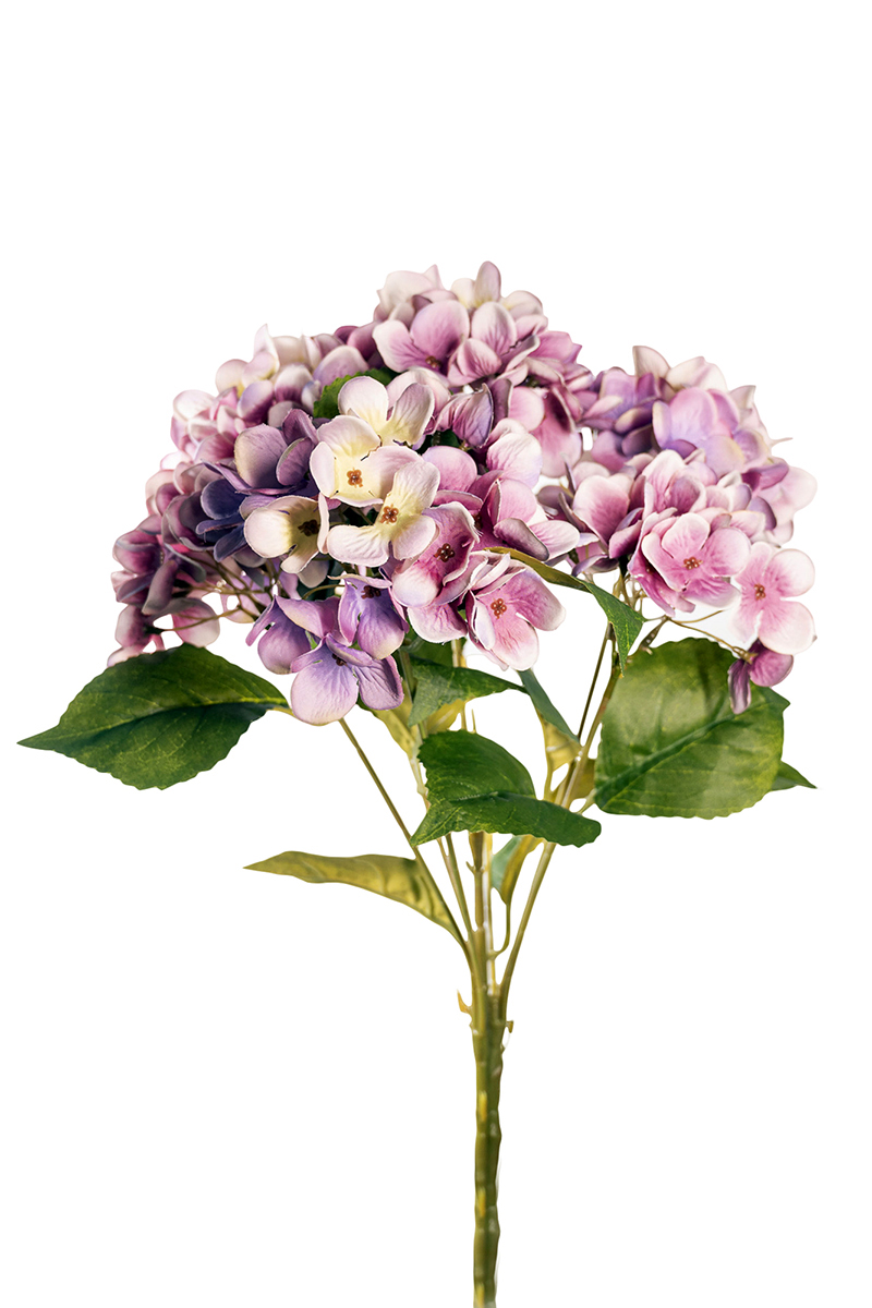 HYDRANGEA AUTUMN BUSH X7 45CM. MAUVE