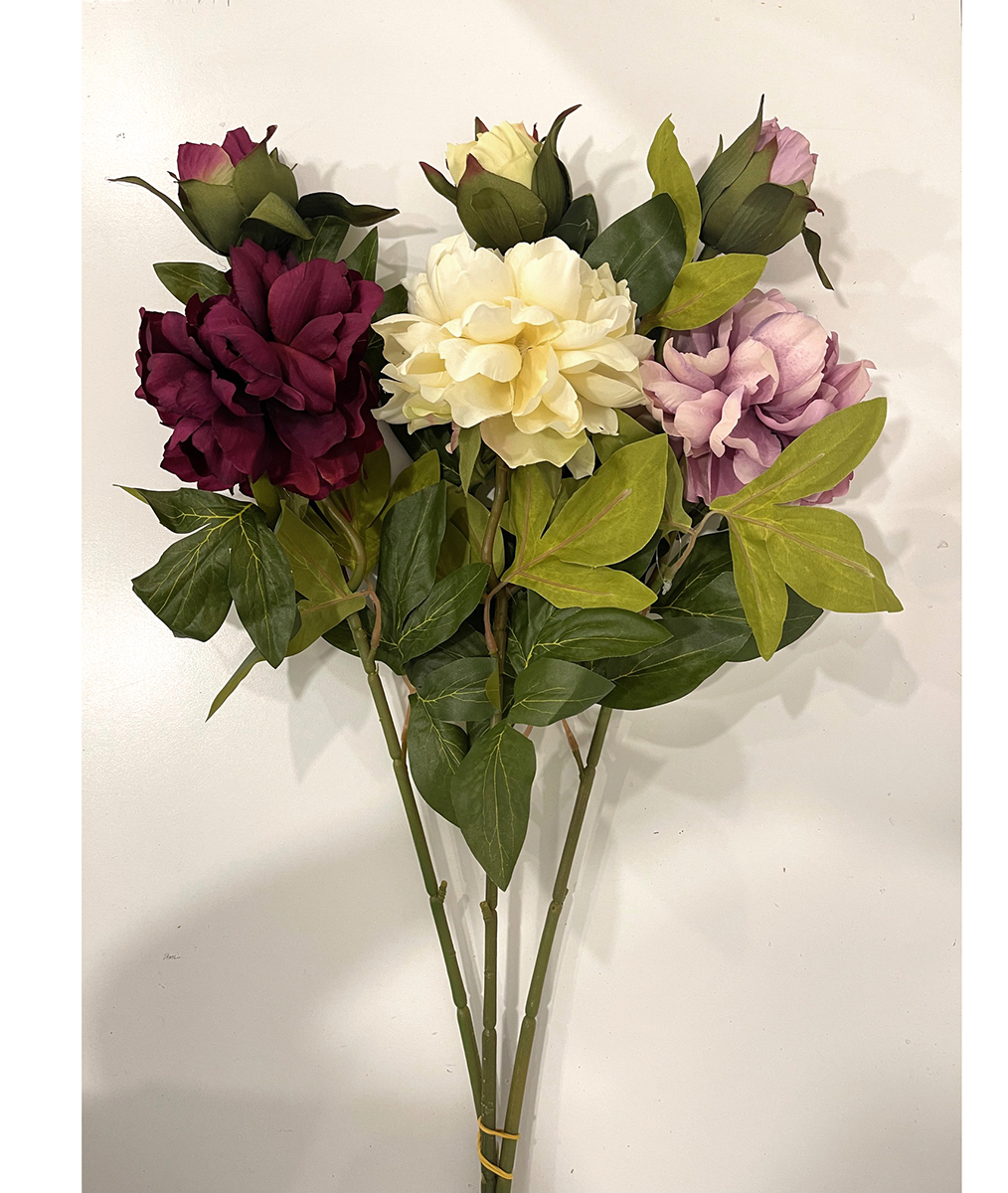 PEONIA AUTUMN X2 68CM. 3PZ. COL.ASS