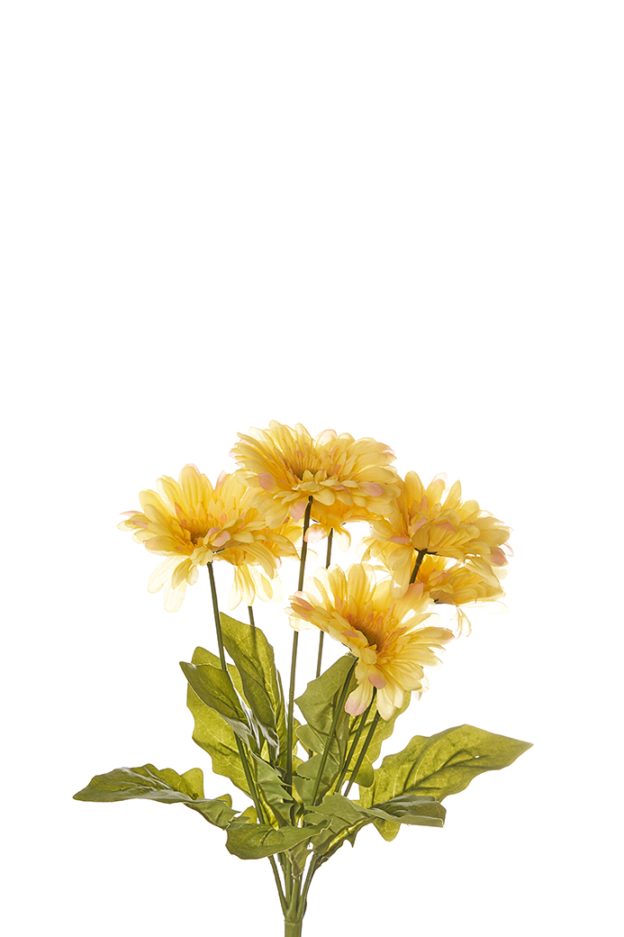 BUSH GERBERE X7 50CM. GIALLO