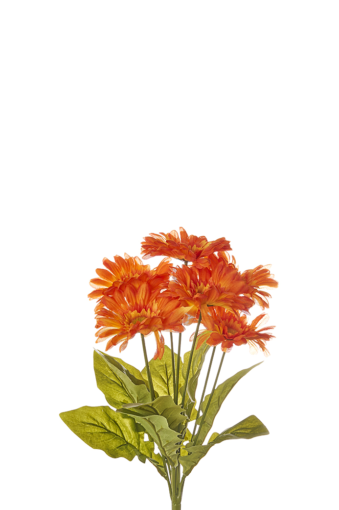 BUSH GERBERE X7 50CM. ARANCIO