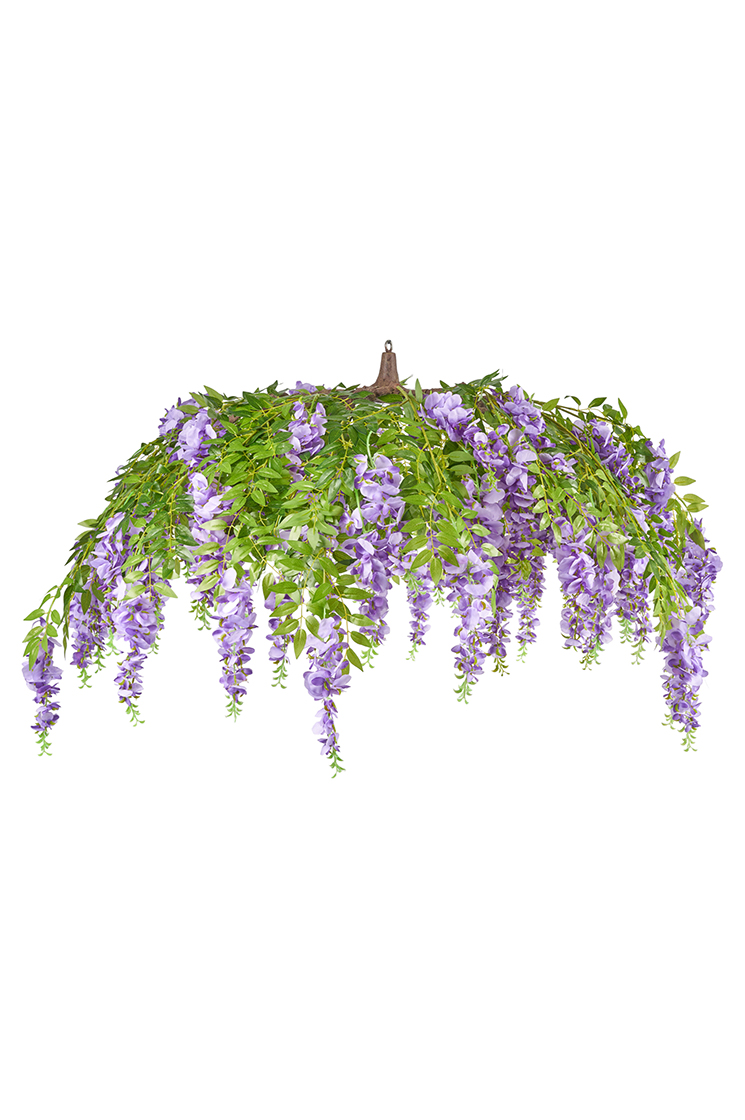 OMBRELLO DI GLICINE D140CM. LAV