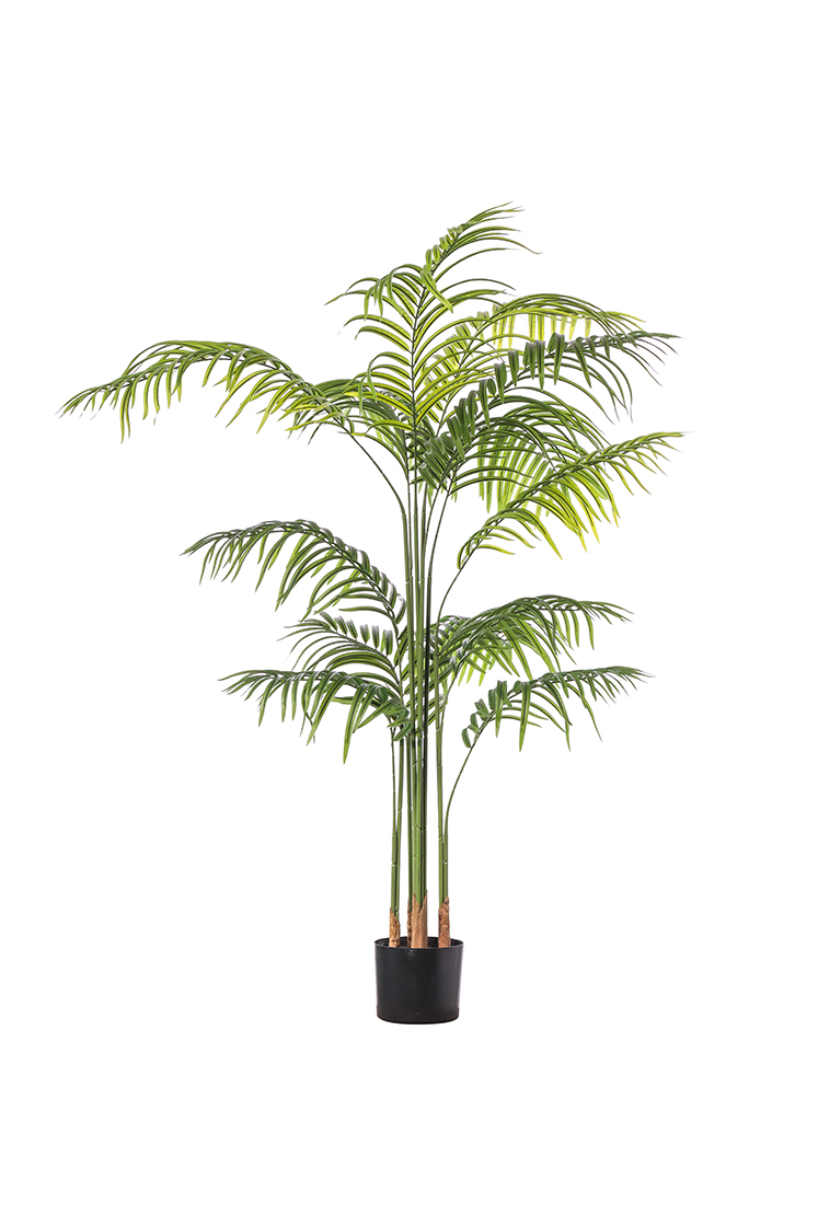 PIANTA ARECA 13FOGLIE H160CM. VERDE