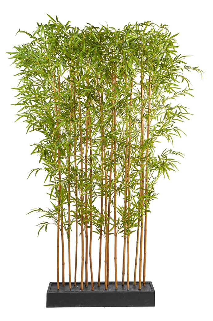 SEPARE' BAMBOO 75X15 H190CM. VERDE