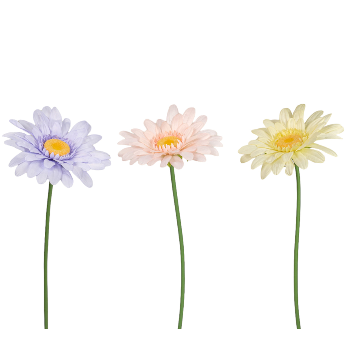 GERBERA D50 H125CM. SALM.