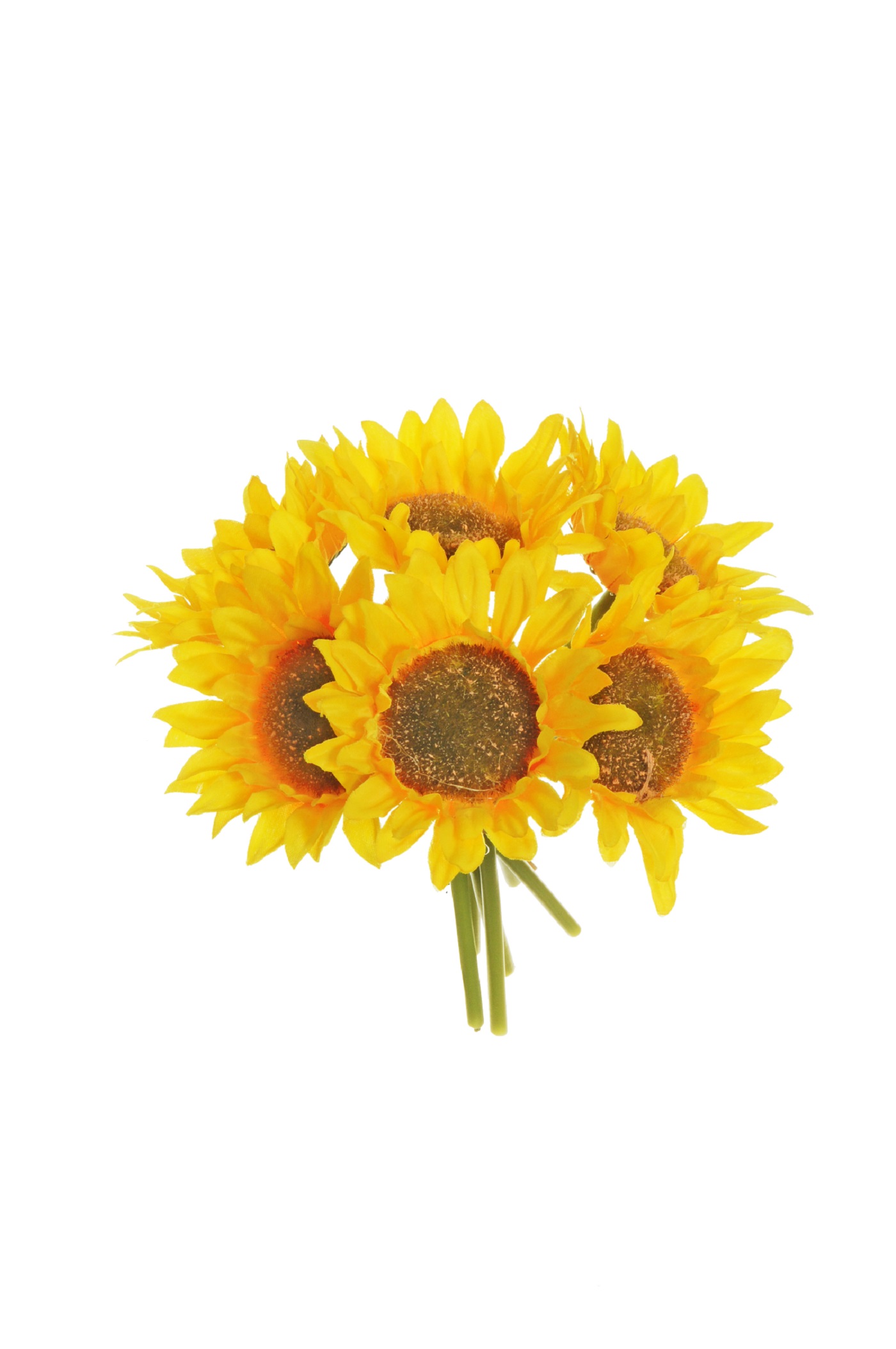SUNFLOWER BUNDLE X6 22CM. GIALLO