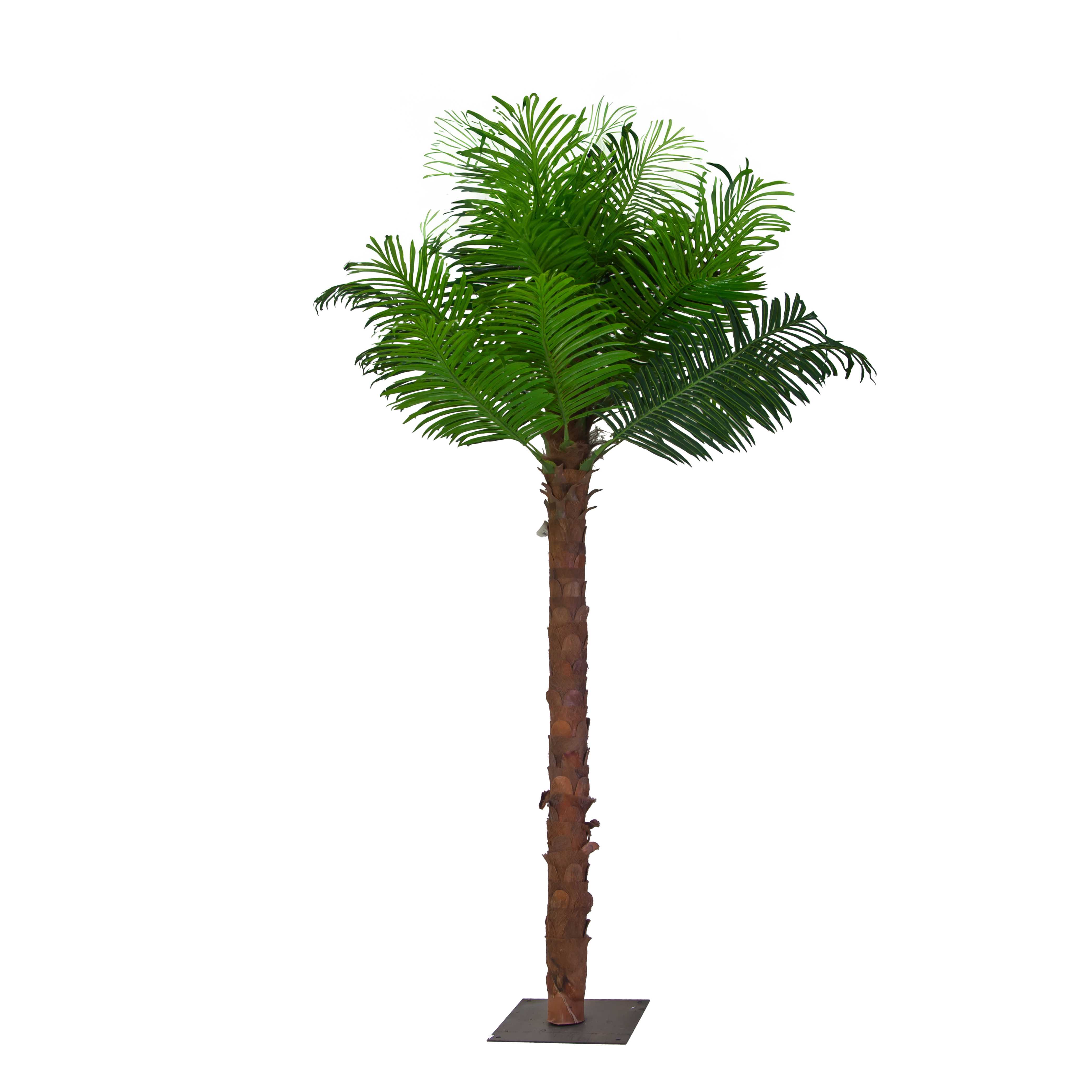 PIANTA PALMA H270CM.