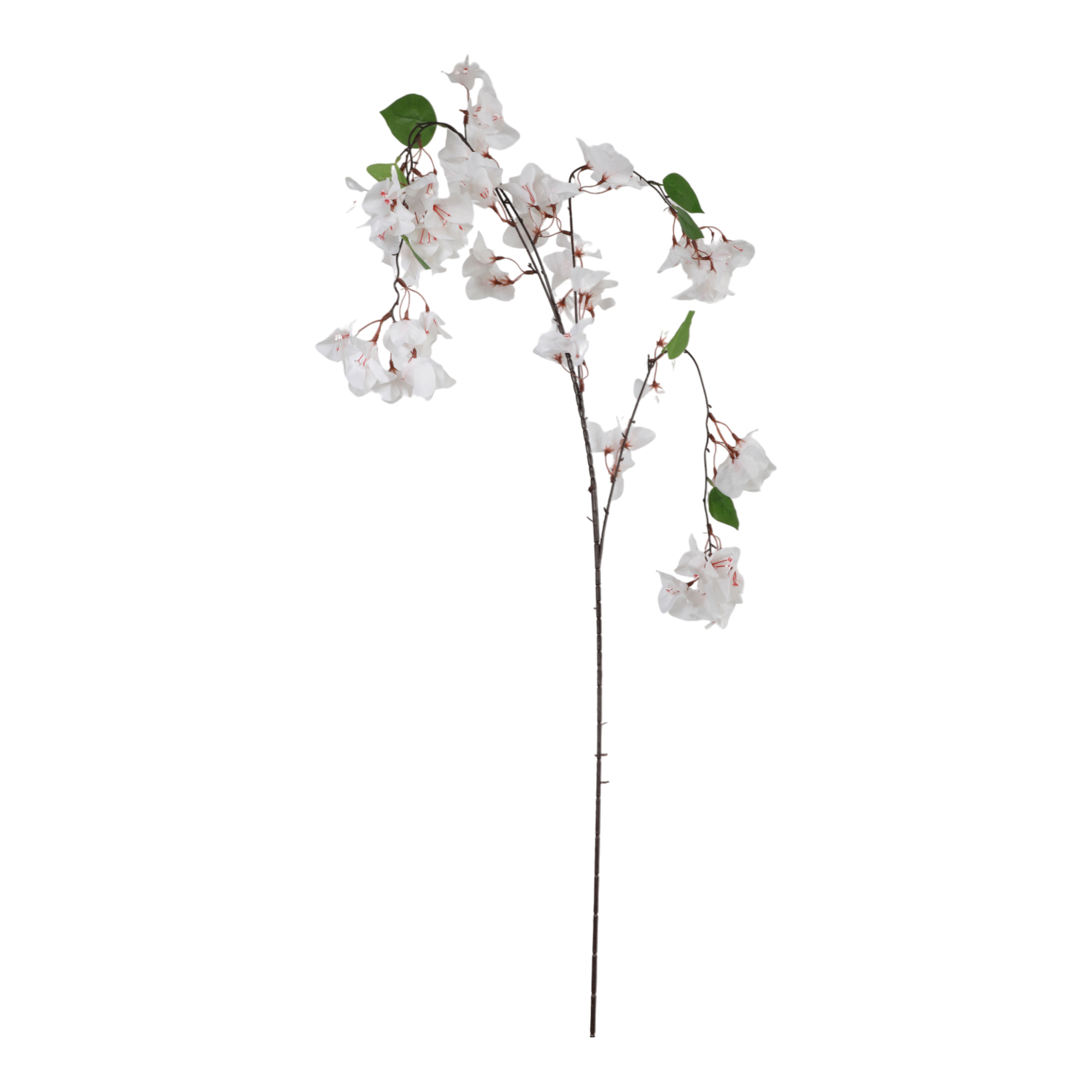 TRALCIO BOUNGAVILLEA 142CM. BIANCO