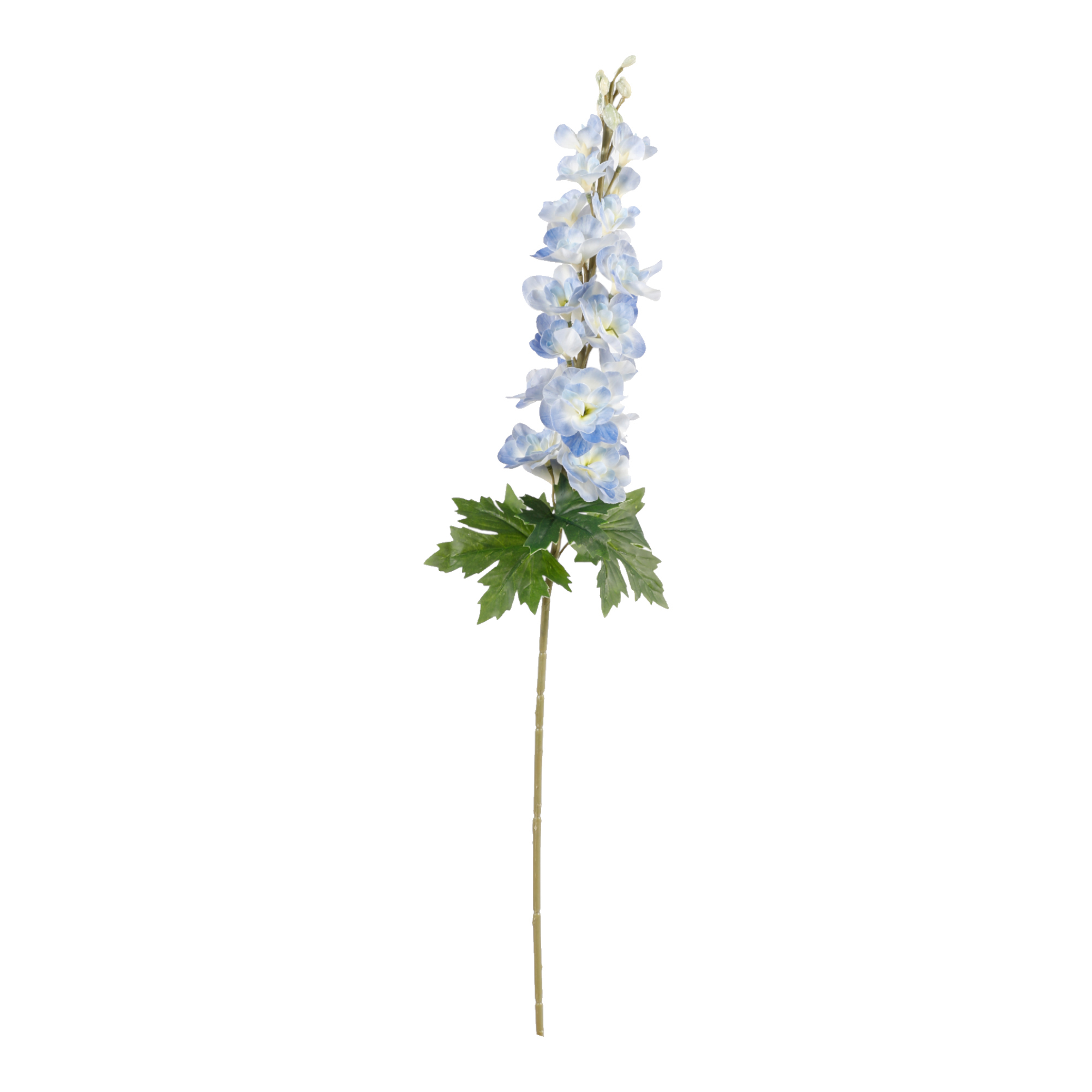TRALCIO DELPHINIUM 90CM. AZZURRO