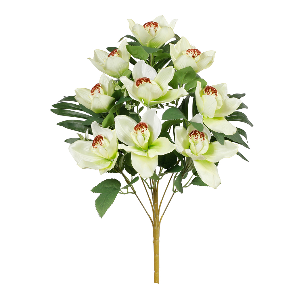 FRONTALE CIMBIDIUM X9 50CM. VERDE CH.