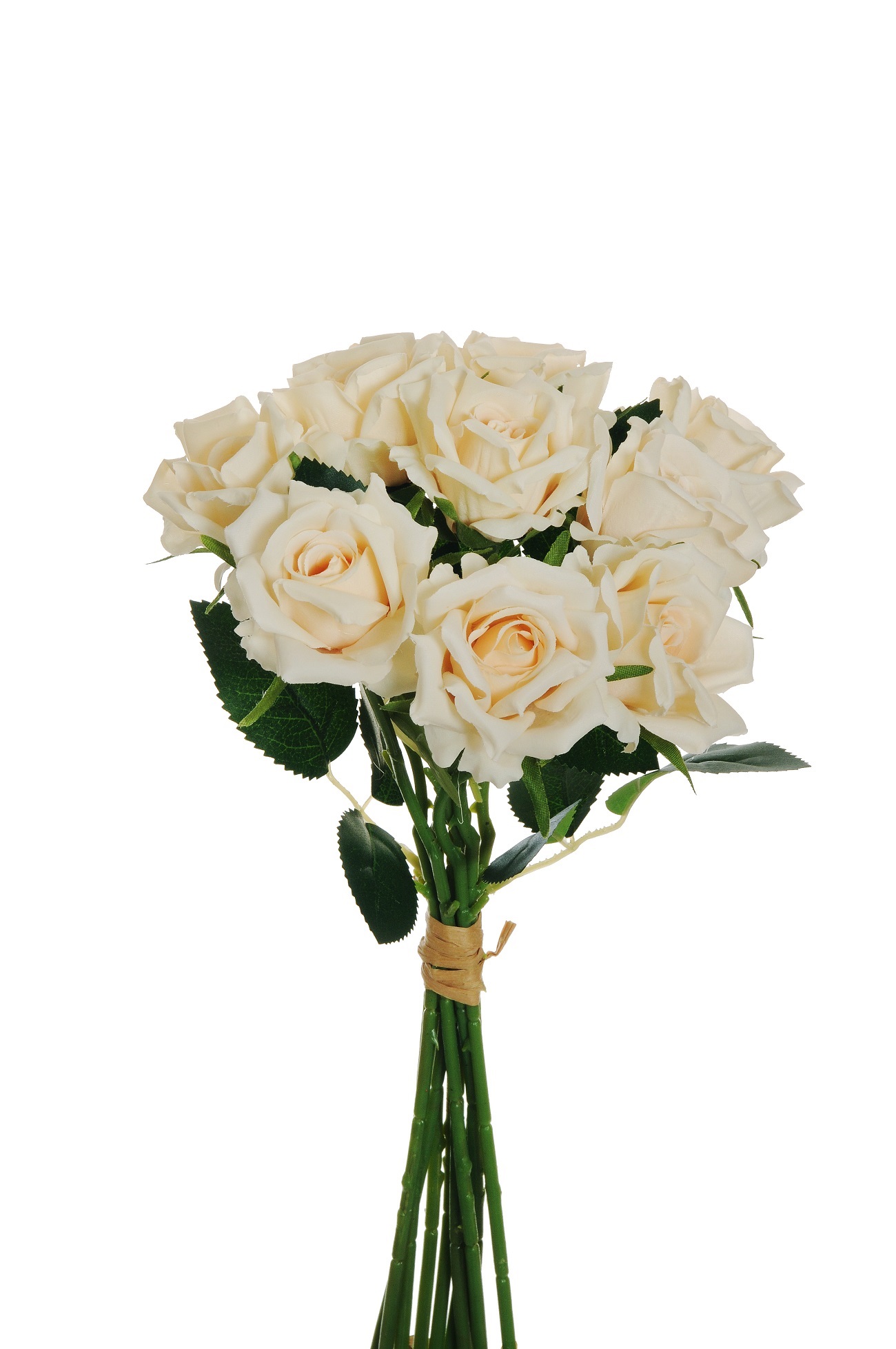 ROSE BUNDLE NOBL. X10 D6 37CM. IVORY
