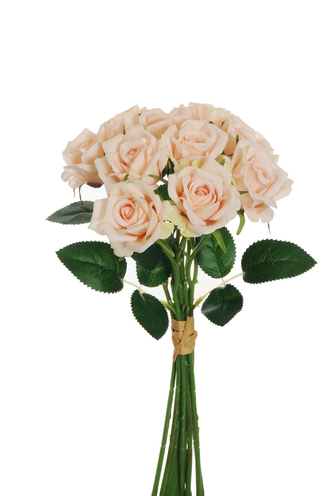 ROSE BUNDLE NOBL. X10 D6 37CM. SKIN