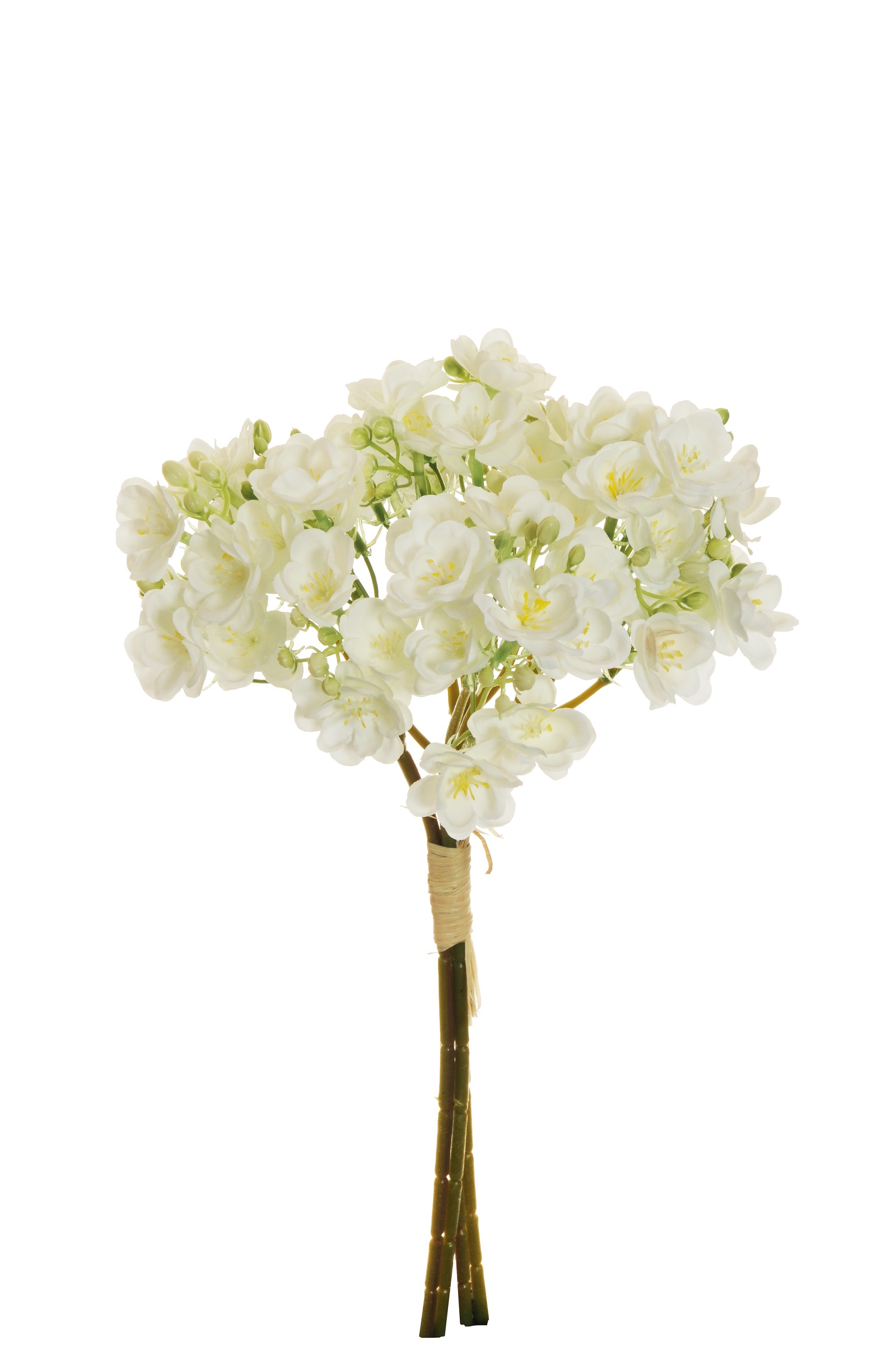SAPONARIA BUNDLE 4STELI 39CM. BIANCO