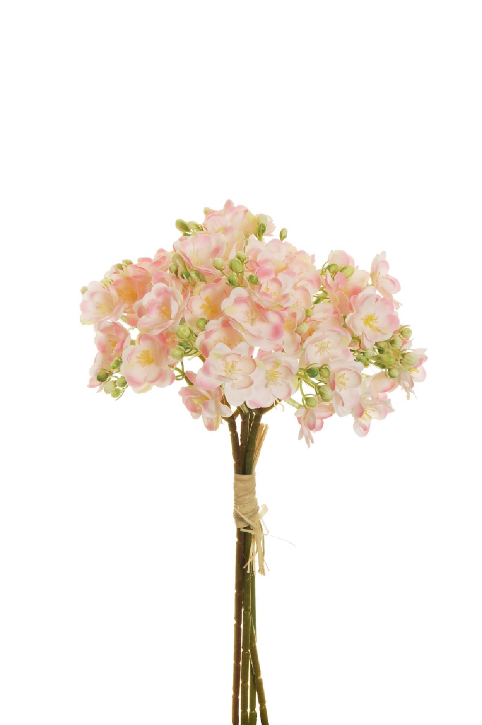 SAPONARIA BUNDLE 4STELI 39CM. ROSA CH.