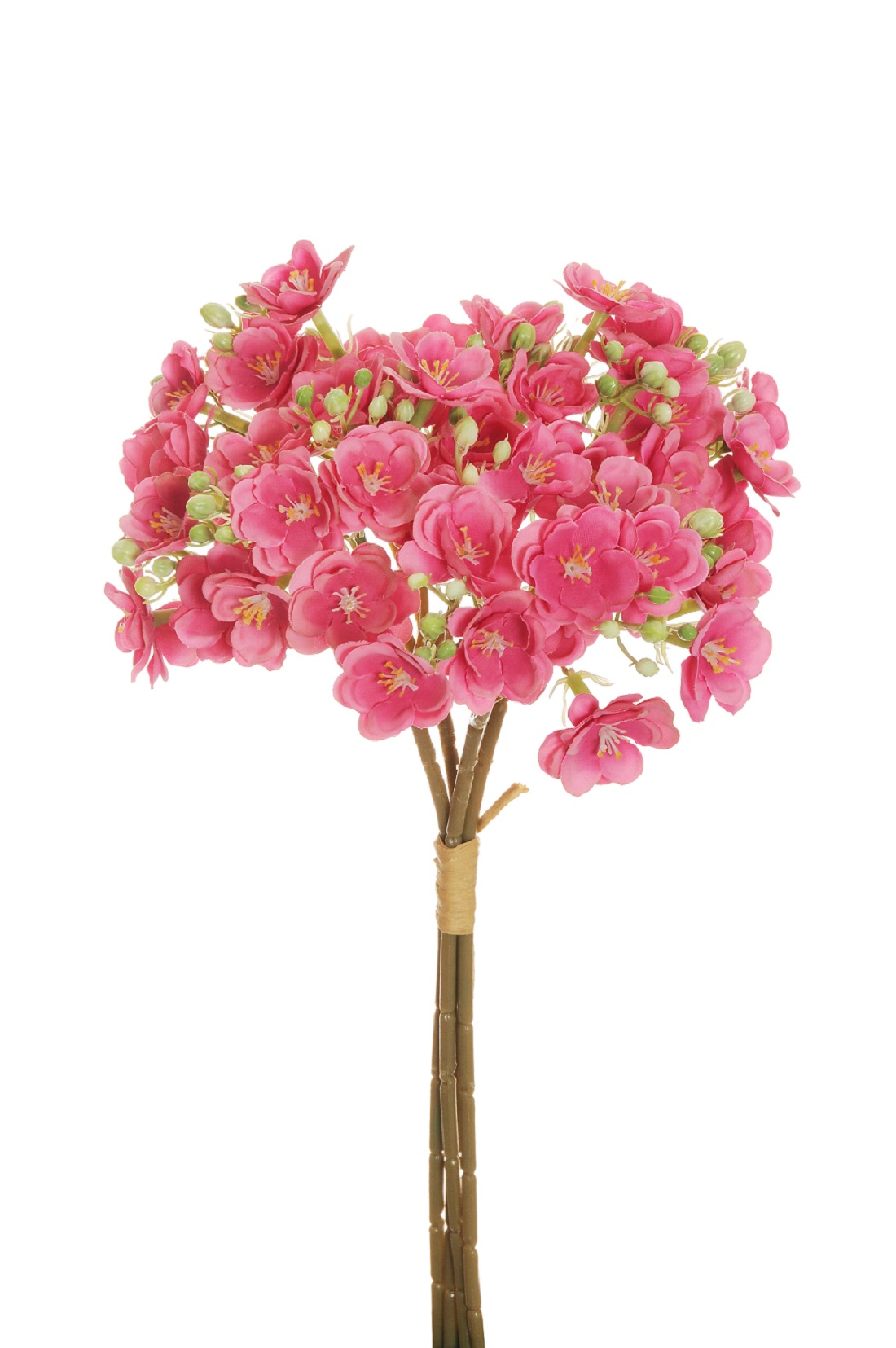 SAPONARIA BUNDLE 4STELI 39CM. FUCHSIA