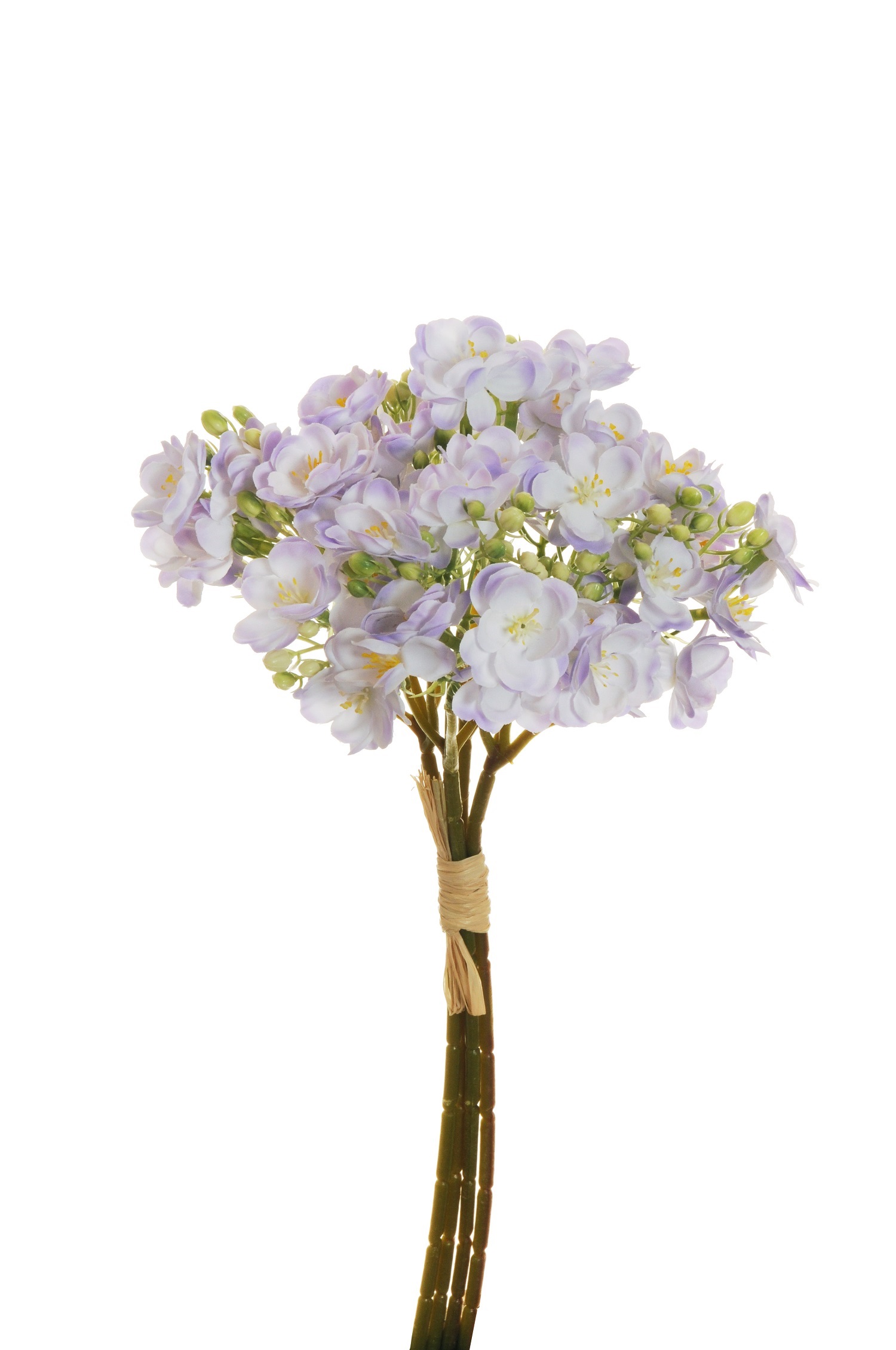 SAPONARIA BUNDLE 4STELI 39CM. LAVANDA CH.