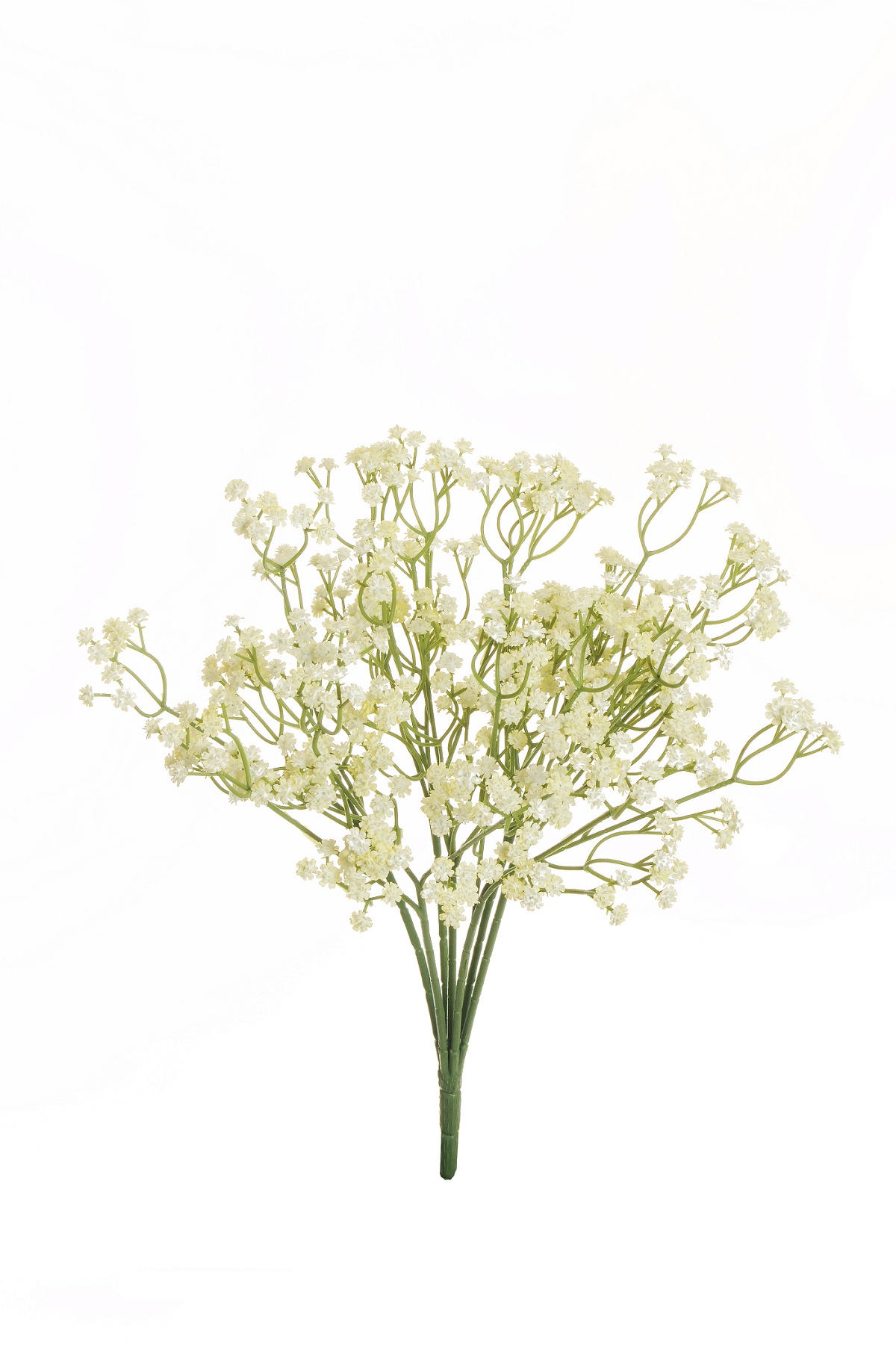 GYPSOPHILA RUBBER BUNDLE 7STELI 40CM. CREMA