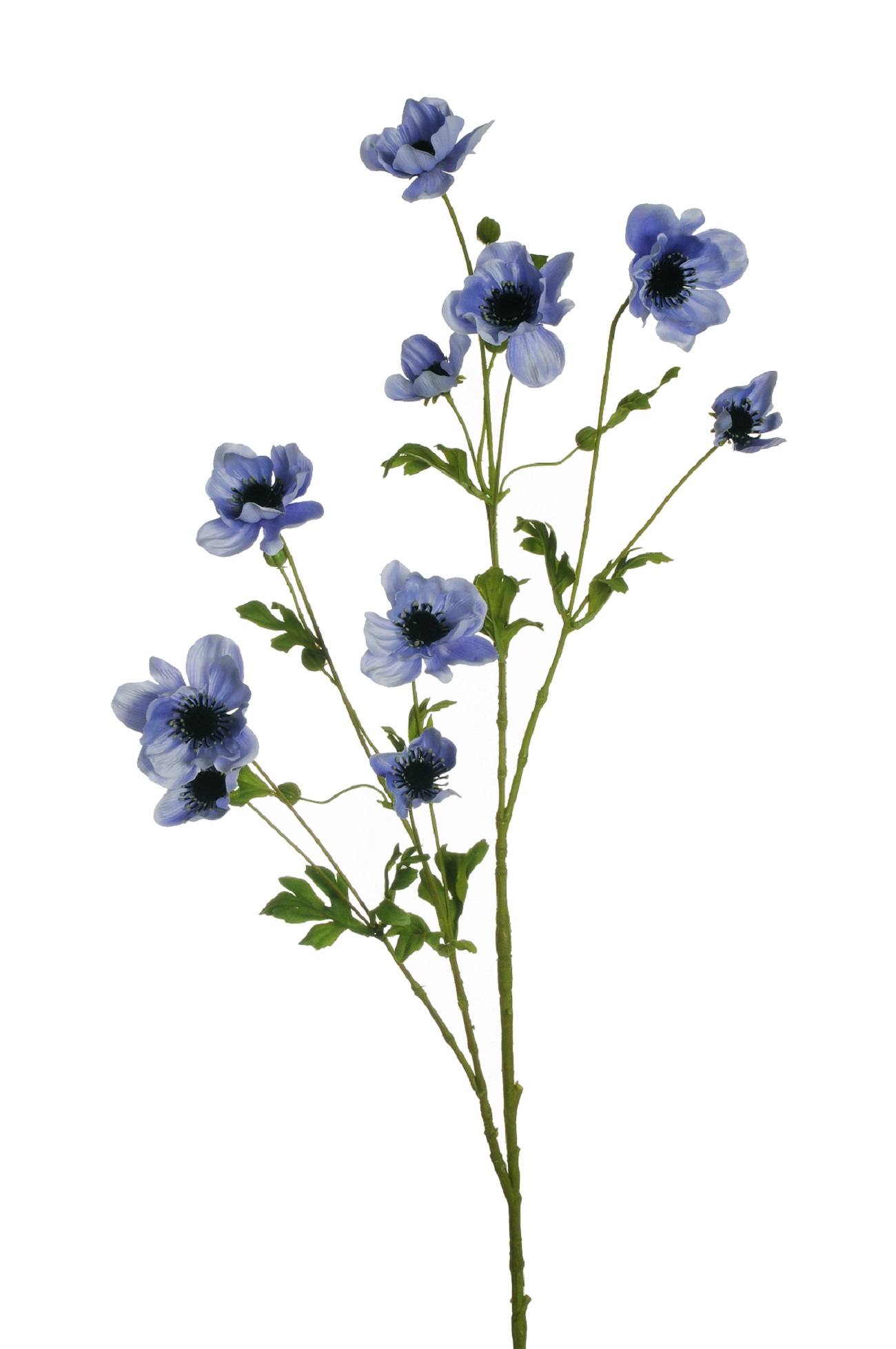 ANEMONE SPRAY 10FIORI 111CM. LAVANDA