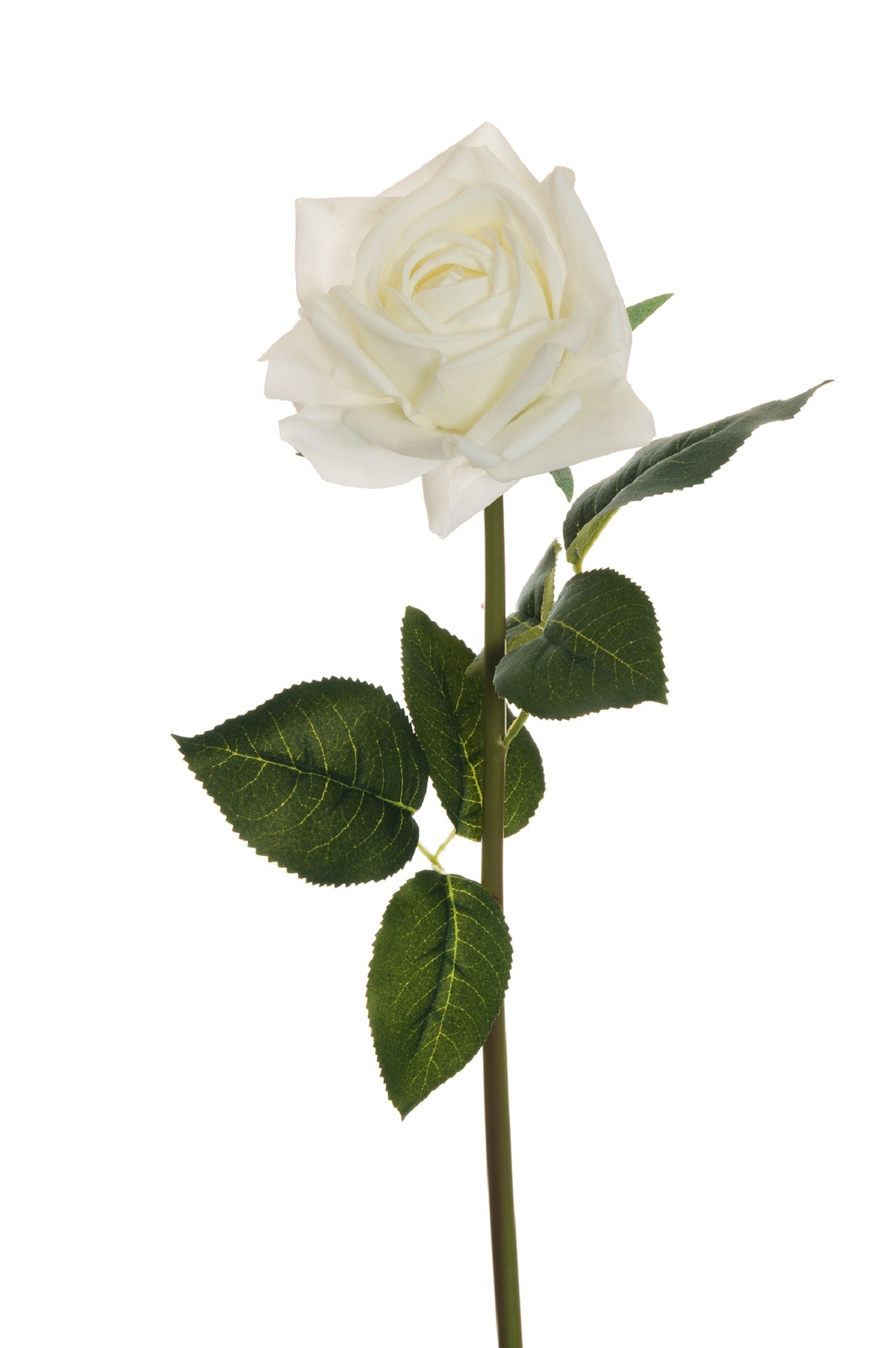 ROSA REAL TOUCH DIAMOND 55CM. 3PZ. BIANCO