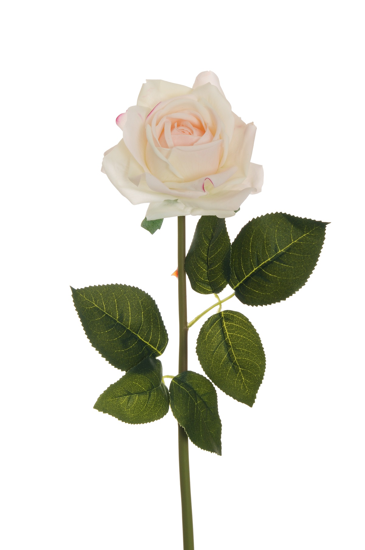 ROSA REAL TOUCH DIAMOND 55CM. 3PZ. CREMA