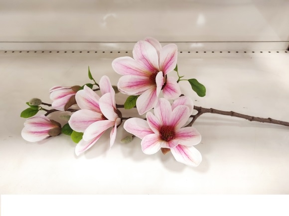 MAGNOLIA RAMO 3FIORI 2BOCC. 75CM. ROSA