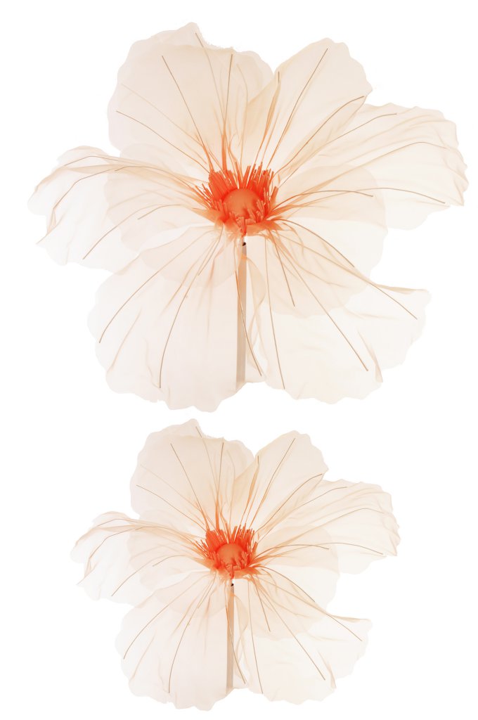 FIORE GIGANTE ORGANZA 2TESTE D50-60CM. ARANCIO