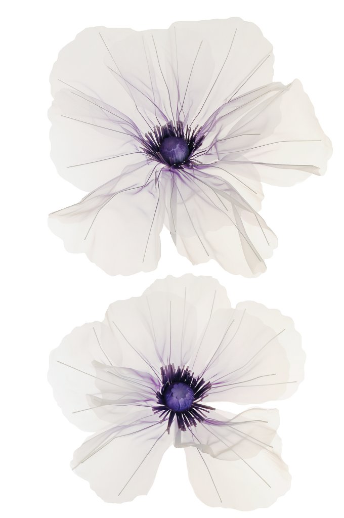 FIORE GIGANTE ORGANZA 2TESTE D50-60CM. LILLA