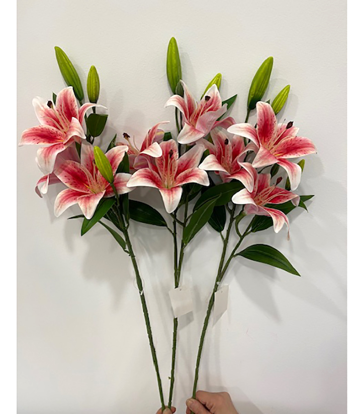 LILIUM TIGER C/3FIORI E 3BOCC.80CM. 3PZ.RUBRUM