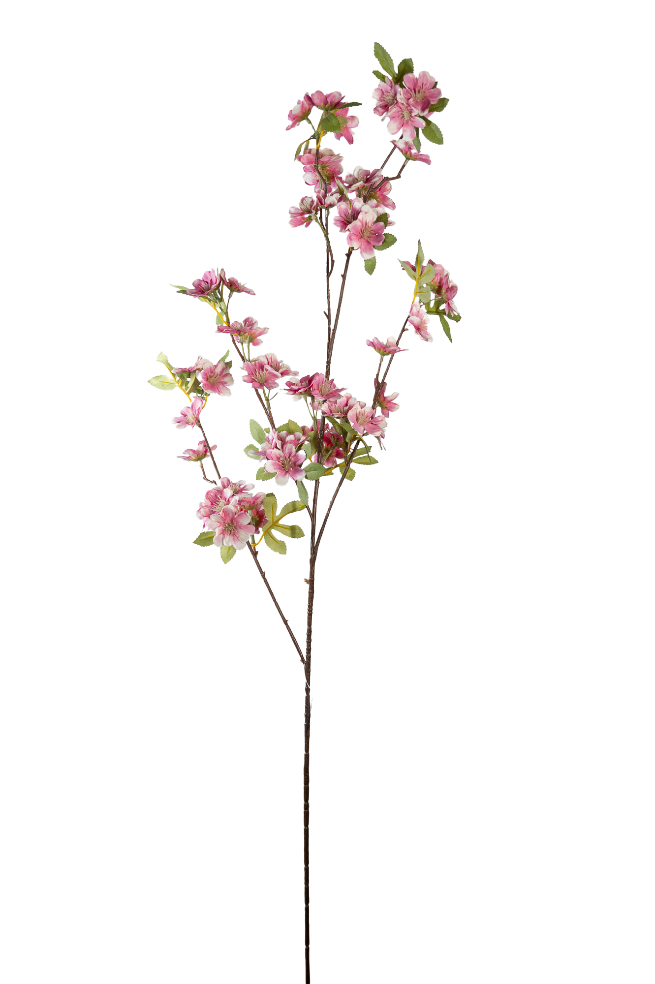BIANCOSPINO SPRAY 100CM. 3PZ. ROSA