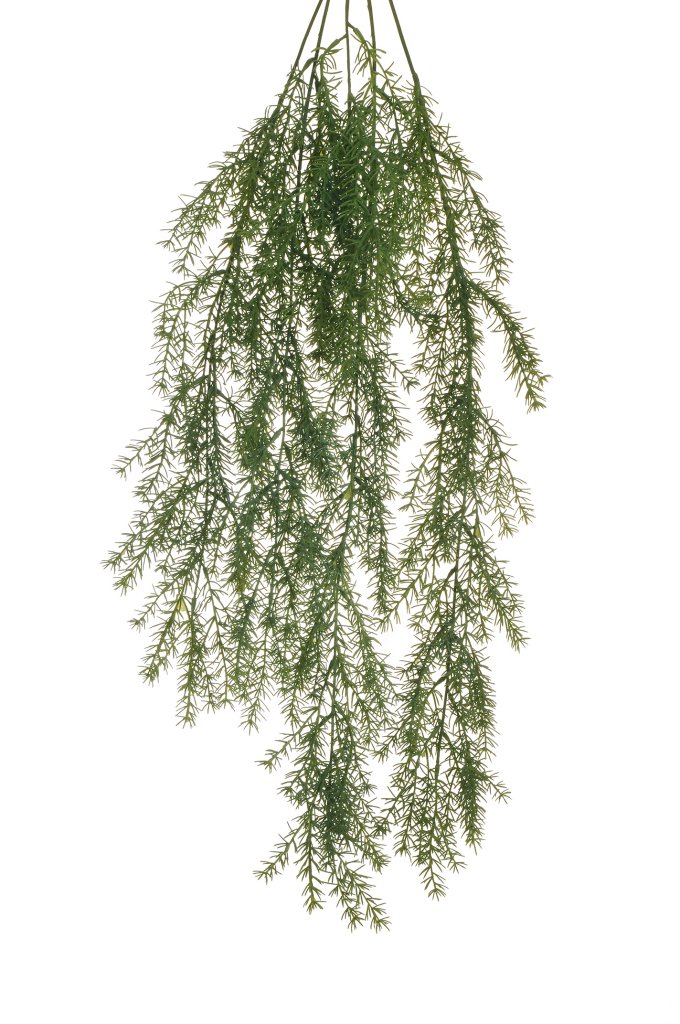 ROSEMARY HANG.BUSH X5 84CM. VERDE