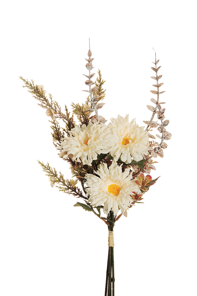 WILD DAISY DRY-LOOK C/ERICA BUNDLE X4 48CM. CREMA