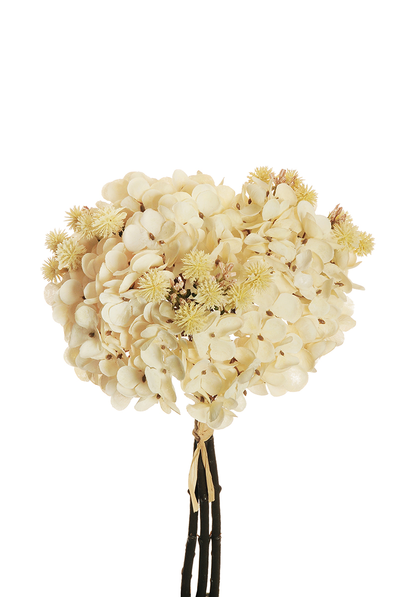 HYDRANGEA ARBORES. BUNDLE X3 32CM. CREMA