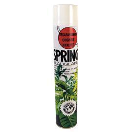 SPRING LEAF SHINE 750ML