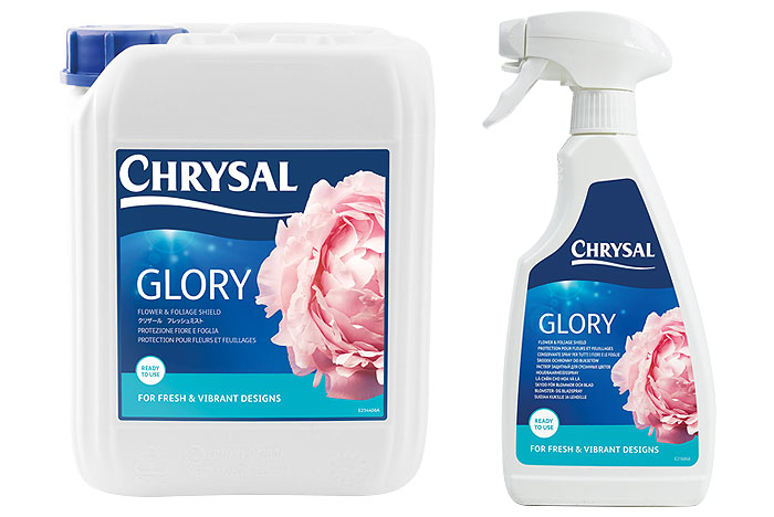 CHRYSAL GLORY 5LITRI