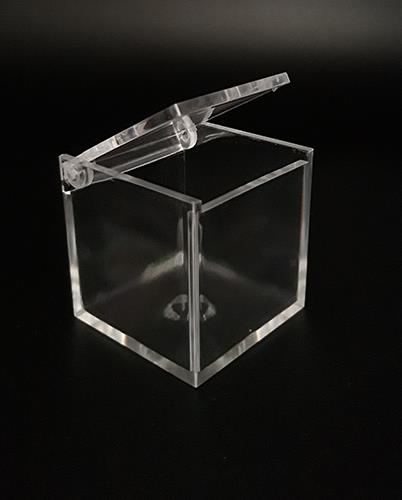 BOX TRASP. 5X5CM. 10PZ. C/COP.