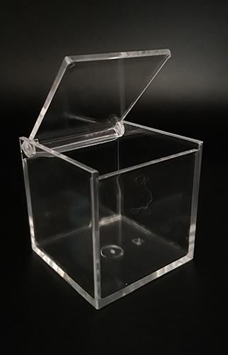 BOX TRASP. 6X6CM. 5PZ. C/COP. PER ALIM.