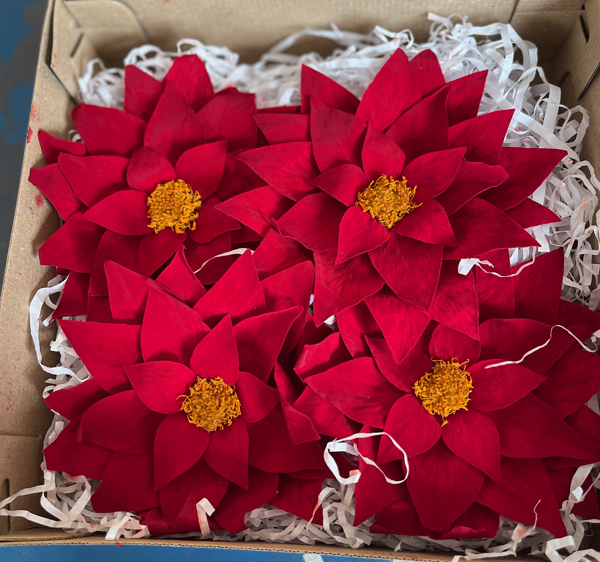 POINSETTIA STABILIZZATA 4PZ. RED-01