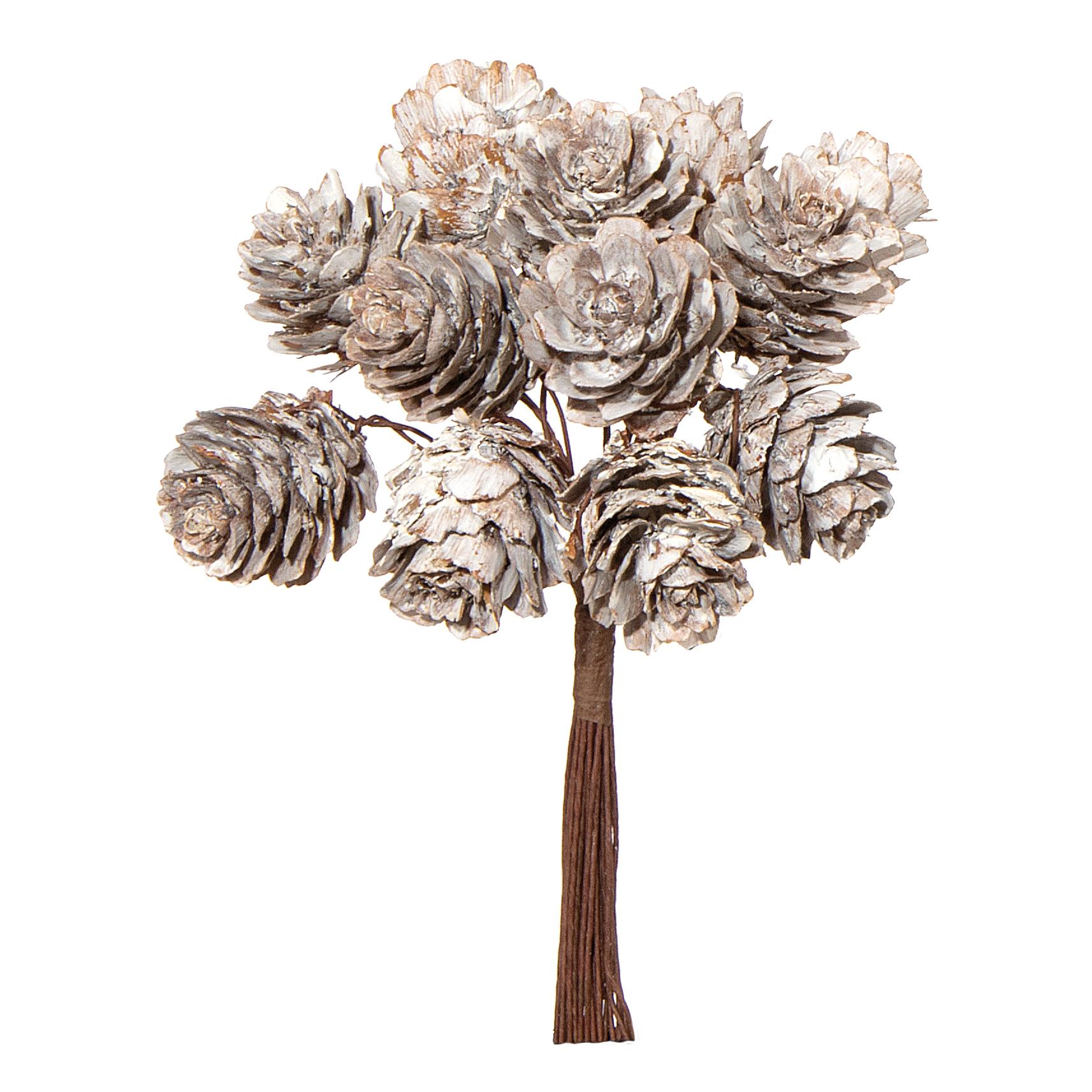 MAZZETTO DI PIGNE 12PZ. H11CM. BIANCO