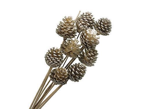 PIGNA C/PICK 50CM. 10PZ. PLATINO