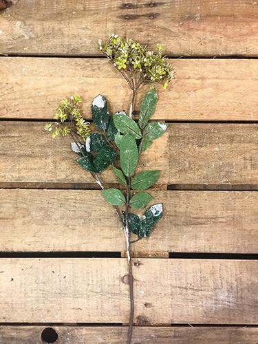 ACHILLEA WINTER CM.75 GREEN