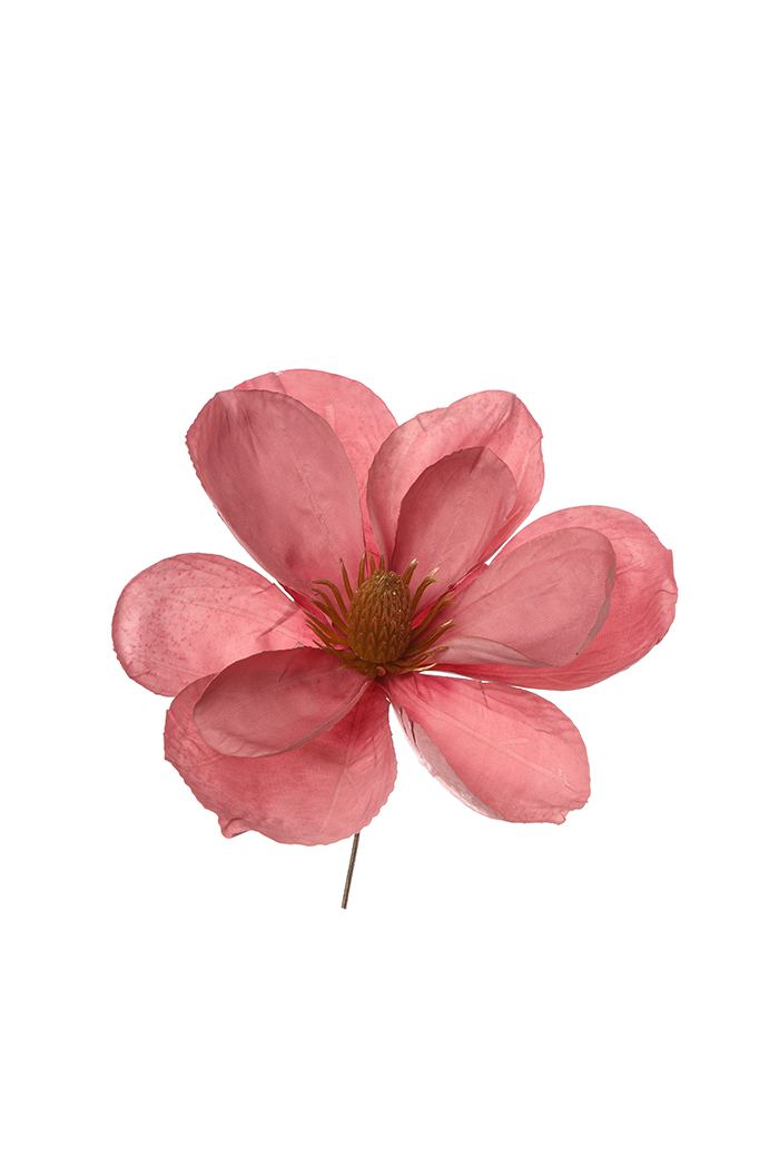 PICK MAGNOLIA D22CM. 12PZ. ROSA ANT.