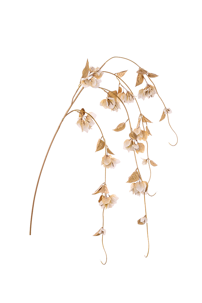 TRALCIO BOUGANVILLEA 150CM. CREMA