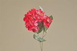 HYDRANGEA BEAUTY 58CM. 2PZ.