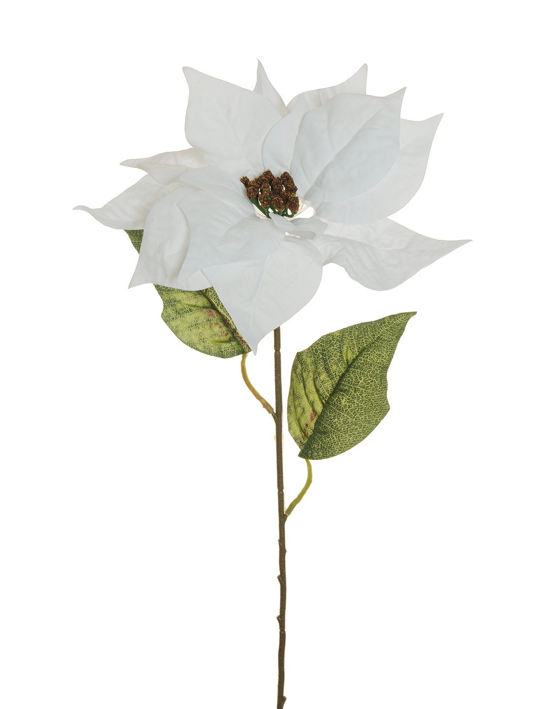 POINSETTIA VELVET D22 H69CM. 3PZ. BIANCO