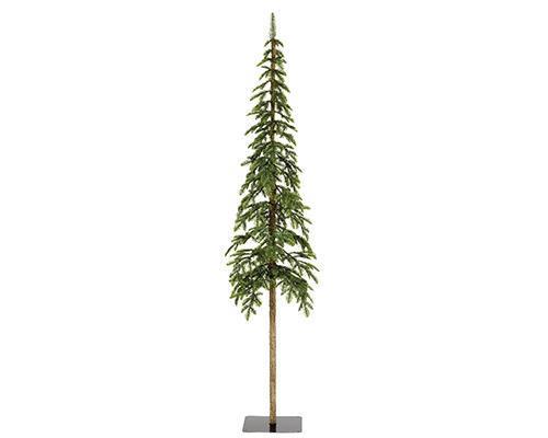 ABETE DELLE ALPI H300 D75CM. VERDE
