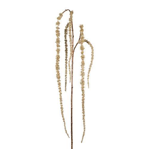 AMARANTHUS GLITTER 150CM. CHAMP.