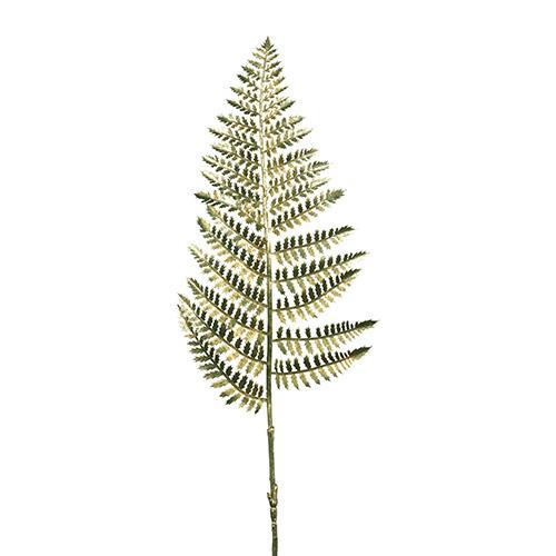 FOGLIA DI FELCE 63CM. 3PEZZI VERDE/ORO